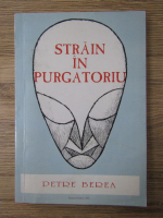 Petre Berea - Strain in purgatoriu