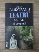 Anticariat: Stela Giurgeanu - Teatru. Matilda si groparii