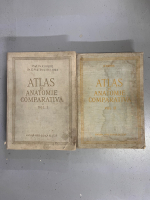 Vasile Ghetie - Atlas de anatomie comparativa (2 volume, putin uzate)