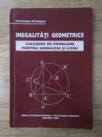 Catalina Mitrasca - Inegalitati geometrice. Culegere de probleme pentru gimnaziu si liceu