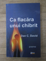 Dan David - Ca flacara unui chibrit