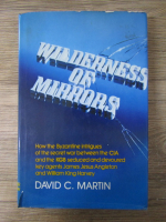 Anticariat: David Martin - Wilderness of mirrors