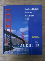 Deborah Hughes Hallett - Calculus (third edition)