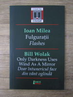 Anticariat: Ioan Milea, Bill Wolak - Fulguratii. Doar intunericul face din vant oglinda