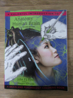 John P.J. Pinel - A colorful introduction to the anatomy of the human brain