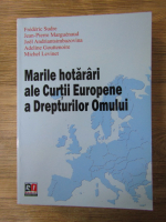 Anticariat: Marile hotarari ale Curtii Europene a Drepturilor Omului