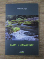 Anticariat: Nicolae Jinga - Glonte din amonte