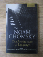 Noam Chomsky - The architecture of language