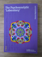 Anticariat: Simona Reghintovschi - The psychoanalytic laboratory