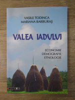 Vasile Todinca - Valea Iadului. Economie, demografie, etnologie