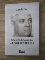 Zanfir Ilie - Romanul de analiza la Liviu Rebreanu