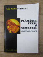 Ana-Nadia Schmidt - Plamanul fetal si neonatal. Anatomie clinica