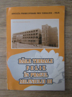 Baile termale Felix in pragul mileniului III