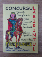 Concursul Labirintul fictiunii