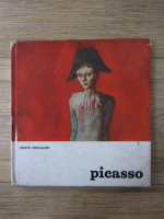 Anticariat: Denys Chevalier - Picasso