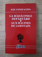 Ilie Constantin - La radacinile departarii (editie bilingva)