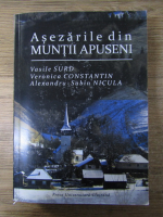 Vasile Surd - Asezarile din Muntii Apuseni