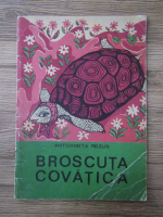 Antoaneta Rezus - Broscuta Covatica