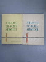 Anticariat: Automatica. Telemecanica. Metrologie (2 volume)