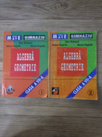 Dan Branzei - Algebra, geometrie, clasa a VII a (2 volume)