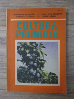 Gheorghe Drobota - Cultura prunului