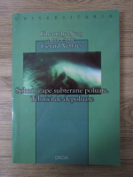 Anticariat: Gheorghe Neag - Soluri si ape subterane poluate. Tehnici de depoluare