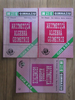 Ion Chesca - Aritmetica, algebra, geometrie, clasa a VI a (3 volume)