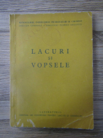 Lacuri si vopsele