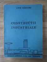 Liviu Gadeanu - Constructii industriale