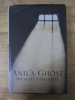 Michael Ondaatje - Anil's ghost