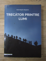 Radu Bogdan Stegaroiu - Trecator printre lumi