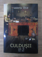 Valeriu Ilica - Culdusii (volumul 2)