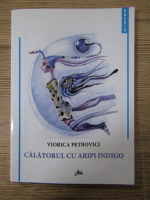 Viorica Petrovici - Calatorul cu aripi indigo