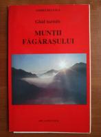 Andrei Beleaua - Muntii Fagarasului. Ghid turistic