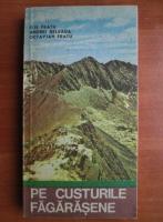 Ilie Fratu - Pe custurile Fagaresene