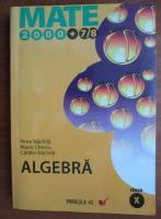 Petre Nachila - Algebra