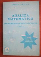 Andrei Vernescu - Analiza matematica (volumul 1)