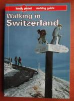 Clem Lindenmayer - Walking in Switzerland