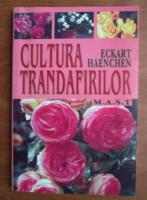 Eckart Haenchen - Cultura trandafirilor