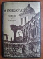 Ion Sachelarescu - Din istoria Bucurestilor. Plumbuita