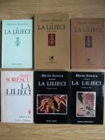 Marin Sorescu - La Lilieci (cartile 1, 2, 3, 4, 5, 6)
