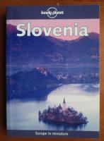 Slovenia (ghid in limba engleza)