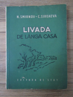 Noe Smirnov - Livada de langa casa