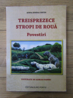 Anticariat: Adina Simina Costin - Treisprezece stropi de roua. Povestiri