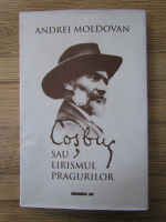 Anticariat: Andrei Moldovan - Cosbuc sau lirismul pragurilor