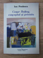 Ion Predescu - Cezar Baltag, conceptul si privirea