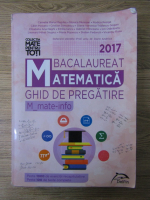 Camelia Maria Magdas - Bacalaureat matematica 2017. Ghid de pregatire, mate-info