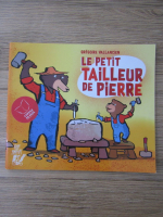 Anticariat: Gregoire Vallancien - Le petit tailleur de Pierre