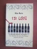 Biba Merlo - 12 luni