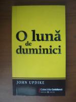 Anticariat: John Updike - O luna de duminici (Cotidianul)